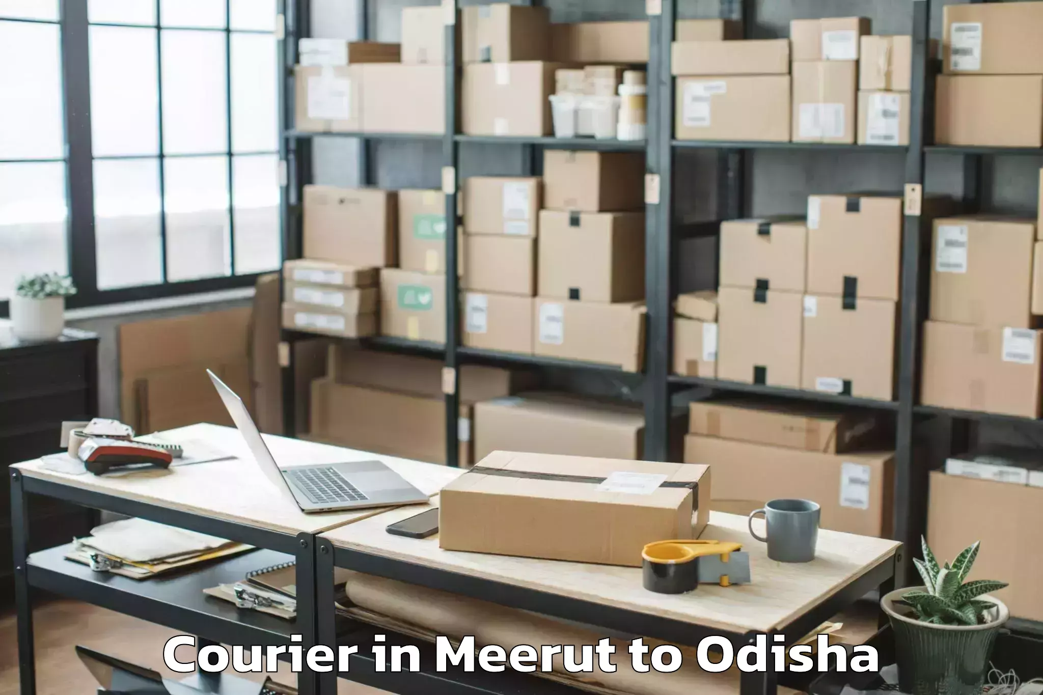 Affordable Meerut to Chatrapur Courier